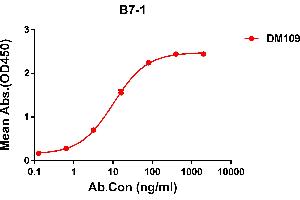ELISA plate pre-coated by 2 μg/mL (100 μL/well) Human B7-1 protein, hFc tagged protein ABIN6961158, ABIN7042345 and ABIN7042346 can bind Rabbit anti-B7-1 monoclonal antibody  (clone: DM109) in a linear range of 0. (CD80 Antikörper  (AA 35-242))