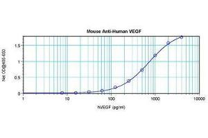 Image no. 1 for anti-Vascular Endothelial Growth Factor A (VEGFA) antibody (ABIN465162) (VEGFA Antikörper)