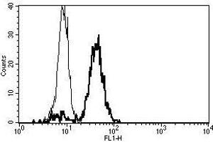 A typical staining pattern with the B-T7 monoclonal antibody of monocytes (CD86 Antikörper)