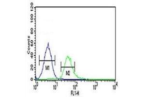 TCF4 antibody flow cytometric analysis of K562 cells (green) compared to a negative control (blue). (TCF4 Antikörper  (AA 48-73))