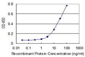 Detection limit for recombinant GST tagged IDI2 is 1 ng/ml as a capture antibody. (IPP Isomerase 2 Antikörper  (AA 1-227))