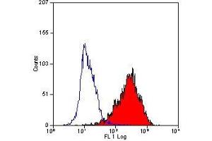 Flow Cytometry (FACS) image for anti-CD90 (THY1) antibody (ABIN2472797) (CD90 Antikörper)