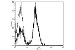 Image no. 1 for anti-CD28 (CD28) antibody (FITC) (ABIN474160) (CD28 Antikörper  (FITC))