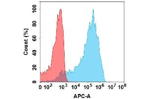 Flow Cytometry (FACS) image for anti-AXL (Mecbotamab Biosimilar) (Glu239Asp-Mutant), (Met241Leu-Mutant) antibody (ABIN7538755)