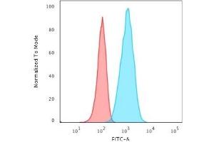 Flow Cytometry (FACS) image for anti-Glial Fibrillary Acidic Protein (GFAP) antibody (ABIN6939508)