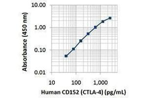 ELISA image for anti-Cytotoxic T-Lymphocyte-Associated Protein 4 (CTLA4) antibody (Biotin) (ABIN2660787) (CTLA4 Antikörper  (Biotin))