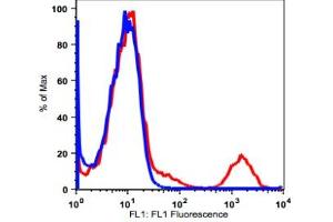 Image no. 2 for anti-Membrane-Spanning 4-Domains, Subfamily A, Member 1 (MS4A1) antibody (FITC) (ABIN2704213) (CD20 Antikörper  (FITC))