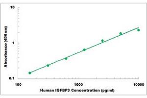 Representative Standard Curve (IGFBP3 ELISA Kit)