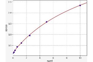 PCDHB16 ELISA Kit