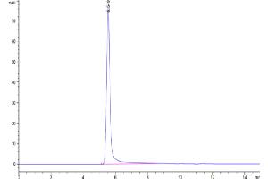 Size-exclusion chromatography-High Pressure Liquid Chromatography (SEC-HPLC) image for Envelop VLP Control protein-VLP (ABIN7448174)