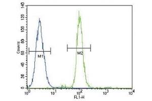 CD14 antibody flow cytometric analysis of A549 cells (right histogram) compared to a negative control (left histogram). (CD14 Antikörper  (AA 54-83))