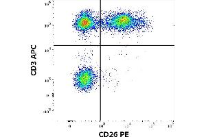 Flow cytometry multicolor surface staining of human lymphocytes stained using anti-human CD26 (BA5b) PE antibody (20 μL reagent / 100 μL of peripheral whole blood) and anti-human CD3 (UCHT1) APC antibody (10 μL reagent per milion cells in 100 μL of cell suspension). (DPP4 Antikörper  (PE))