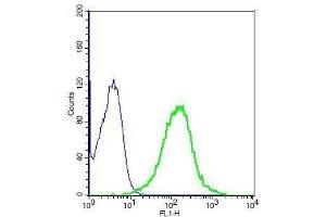 Flow Cytometry (FACS) image for anti-Aquaporin 4 (AQP4) (AA 271-323) antibody (ABIN671181)