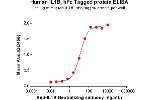 ELISA plate pre-coated by 1 μg/mL (100 μL/well) Human IL1B Protein, hFc Tag (ABIN6964158, ABIN7042509 and ABIN7042510) can bind Anti-IL1B Neutralizing antibody ABIN7478012 and ABIN7490963 in a linear range of 0. (IL-1 beta Protein (AA 117-269) (Fc Tag))