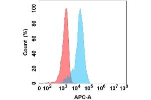 Flow cytometry analysis with Anti-GDNF on Expi293 cells transfected with human GDNF (Blue histogram) or Expi293 transfected with irrelevant protein (Red histogram). (GDNF Antikörper)