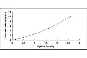 ELISA image for Peptidylprolyl Isomerase A (Cyclophilin A) (PPIA) ELISA Kit (ABIN431861) (PPIA ELISA Kit)