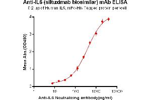 ELISA plate pre-coated by 2 μg/mL (100 μL/well) Human IL6, mFc-His tagged protein ABIN6961105, ABIN7042239 and ABIN7042240 can bind Anti-IL6 Neutralizing antibody in a linear range of 7. (Rekombinanter IL6 (Siltuximab Biosimilar) Antikörper)