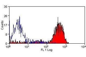 Flow Cytometry (FACS) image for anti-CD41,CD61 antibody (ABIN2480360) (CD41, CD61 Antikörper)