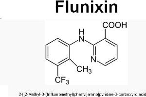 Image no. 1 for anti-Flunixin antibody (ABIN487692) (Flunixin Antikörper)