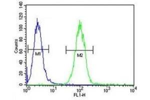 Annexin A1 antibody flow cytometric analysis of A2058 cells (green) compared to a negative control (blue). (Annexin a1 Antikörper  (AA 129-158))