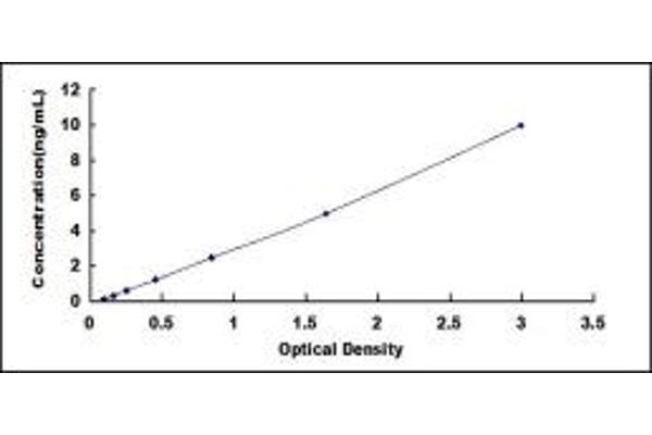 PCDHB15 ELISA Kit