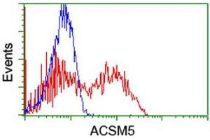 Flow Cytometry (FACS) image for anti-ACSM5 / MACS3 antibody (ABIN1496425) (ACSM5 / MACS3 Antikörper)