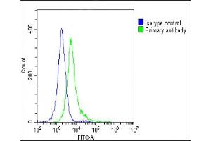 Flow Cytometry (FACS) image for anti-BMI1 Polycomb Ring Finger Oncogene (BMI1) antibody (ABIN652702)