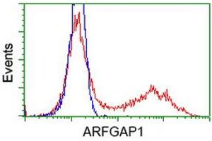 Flow Cytometry (FACS) image for anti-ADP-Ribosylation Factor GTPase Activating Protein 1 (ARFGAP1) antibody (ABIN1496684) (ARFGAP1 Antikörper)