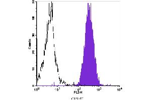 Flow Cytometry (FACS) image for anti-Platelet/endothelial Cell Adhesion Molecule (PECAM1) antibody (PE) (ABIN2144843) (CD31 Antikörper  (PE))