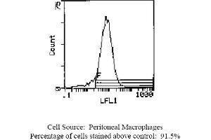 Mouse anti OX-43 Antigen OX-43 (Endothelium Antikörper (Biotin))