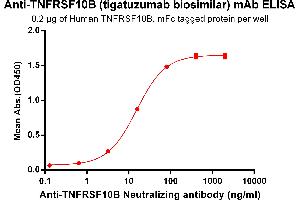 ELISA plate pre-coated by 2 μg/mL (100 μL/well) Human TNFB, mFc tagged protein ABIN6961152, ABIN7042333 and ABIN7042334 can bind Anti-TNFB  Neutralizing antibody in a linear range of 3. (Rekombinanter TNFRSF10B (Tigatuzumab Biosimilar) Antikörper)