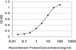 ELISA image for anti-Heterogeneous Nuclear Ribonucleoprotein M (HNRNPM) (AA 17-112) antibody (ABIN518184)