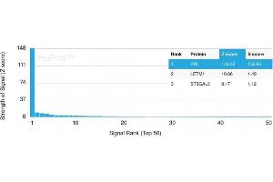 Analysis of Protein Array containing more than 19,000 full-length human proteins using Prolactin Mouse Monoclonal Antibody (PRL/2643). (Prolactin Antikörper  (AA 63-201))