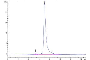 Size-exclusion chromatography-High Pressure Liquid Chromatography (SEC-HPLC) image for Interleukin 22 Receptor, alpha 1 (IL22RA1) (AA 16-228) protein (Fc Tag) (ABIN7275022)