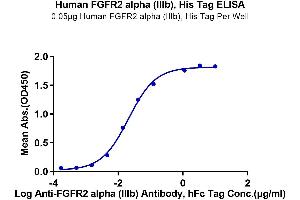 ELISA image for FGFR2 alpha (AA 22-378) protein (His tag) (ABIN7274648)