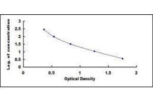 ELISA image for Nitrotyrosine ELISA Kit (ABIN1118104) (Nitrotyrosine ELISA Kit)