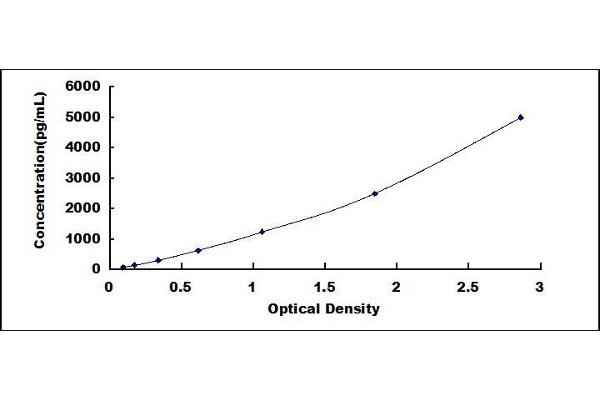 RNASE3 ELISA Kit