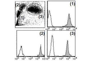 Flow Cytometry (FACS) image for anti-CD44 (CD44) antibody (PE) (ABIN1106383) (CD44 Antikörper  (PE))