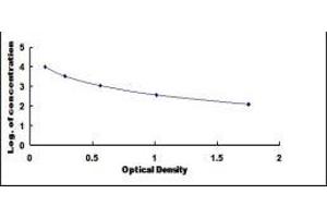 ELISA image for 1-Desamino 8D Arginine Vasopressin ELISA Kit (ABIN1118101) (1-Desamino 8D Arginine Vasopressin ELISA Kit)