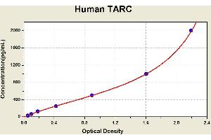 Diagramm of the ELISA kit to detect Human TARCwith the optical density on the x-axis and the concentration on the y-axis. (CCL17 ELISA Kit)