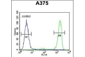 IT Antibody (N-term) (ABIN651135 and ABIN2840091) flow cytometric analysis of  cells (right histogram) comred to a negative control cell (left histogram). (ITPA Antikörper  (N-Term))