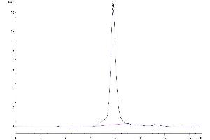 Size-exclusion chromatography-High Pressure Liquid Chromatography (SEC-HPLC) image for GARP & Latent TGF beta 1 Complex (AA 20-628) protein (His-Avi Tag) (ABIN7274705)