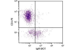 Chicken peripheral blood lymphocytes were stained with Mouse Anti-Chicken IgM-BIOT. (Maus anti-Huhn IgM Antikörper (Biotin))