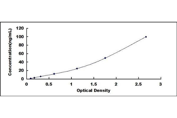 GGT1 ELISA Kit