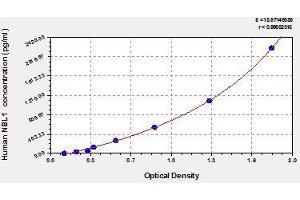 Typical standard curve (NBL1 ELISA Kit)