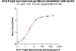 ELISA plate pre-coated by 2 μg/mL (100 μL/well) Human Trop2, mFc-His tagged protein ABIN6961178, ABIN7042385 and ABIN7042386 can bind Anti-Trop2 Neutralizing antibody in a linear range of 0. (Rekombinanter Trop2 (Sacituzumab Biosimilar) Antikörper)