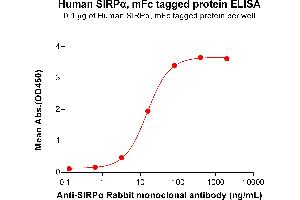 ELISA plate pre-coated by 1 μg/mL (100 μL/well) Human SIRPα Protein, mFc Tag  (ABIN7092698, ABIN7272186 and ABIN7272187) can bind anti-SIRPα antibody, Rabbit mAb clone: DM8 in a linear range of 3. (SIRPA Protein (AA 31-373) (mFc Tag))
