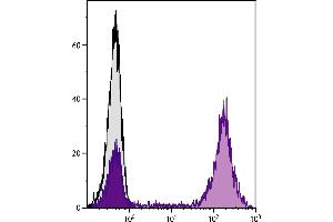 Flow Cytometry (FACS) image for Goat anti-Mouse IgG2a antibody (PE) - Preadsorbed (ABIN376454)