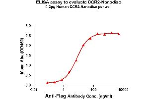 Elisa plates were pre-coated with Flag Tag -Nanodisc (0. (CCR2 Protein)