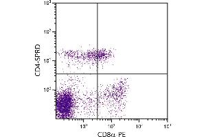 Porcine peripheral blood lymphocytes were stained with Mouse Anti-Porcine CD4-SPRD. (CD4 Antikörper  (SPRD))